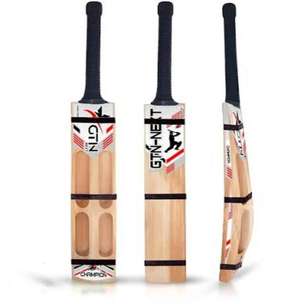Profile and rear view of the 11Sports GTN Champion cricket bat featuring four cutout back weight pockets.